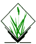 grasslogo