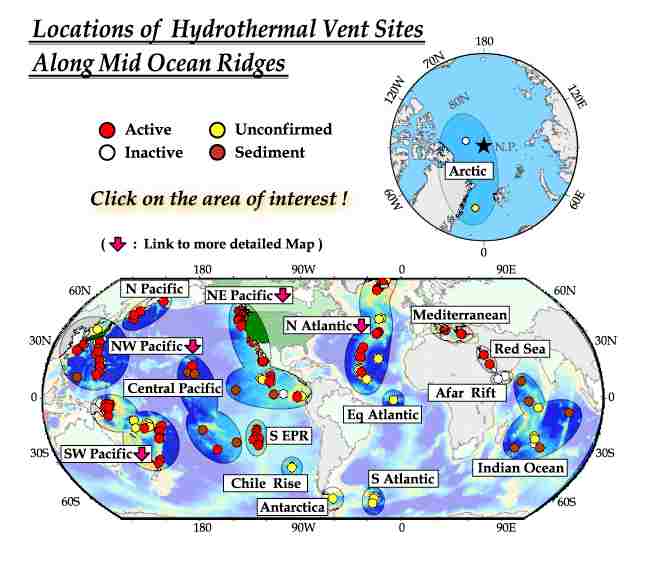 hydrothermal vents food web