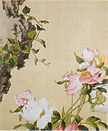 Album of Flower Paintings, Leaf 3, Lang Shining (Giuseppe Castiglione, S.J.) (1688-1766)