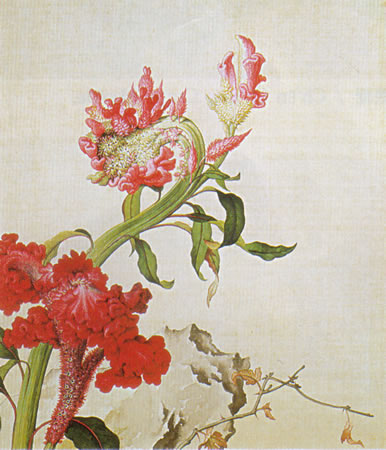 Album of Flower Paintings, Leaf 13, Lang Shining (Giuseppe Castiglione, S.J.) (1688-1766)