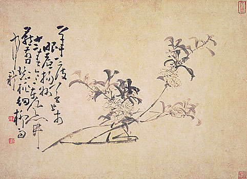 Album of Flowers, Leaf 1, Huang Shen (1687-1772)