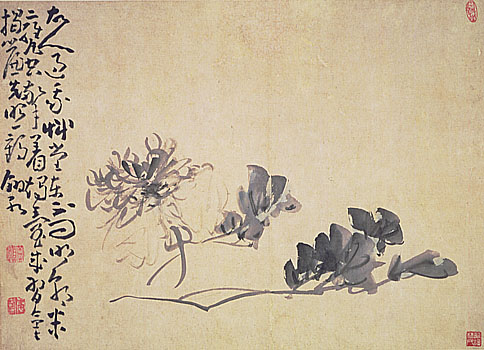 Album of Flowers, Leaf 2, Huang Shen (1687-1772)