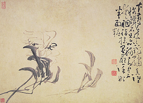 Album of Flowers, Leaf 3, Huang Shen (1687-1772)