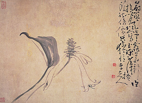 Album of Flowers, Leaf 4, Huang Shen (1687-1772)