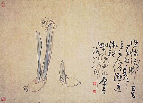 Album of Flowers, Leaf 5, Huang Shen (1687-1772)