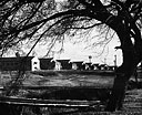 Wards at the Norman (Okla.) Naval Hospital