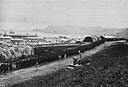 86th Seabees Lined up for Inspection on Maintenance Avenue, Adak, July 16, 1944