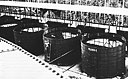 Filtering Tanks at the Filtering Station, Manus