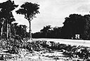 Jungle Road on Calicoan Island