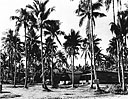 Samar Camp of the 100th Seabees, November 1945