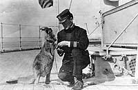 Photo # NH 50477:  Lt. John E. Lewis with a mascot kangaroo on board USS Connecticut, 1908