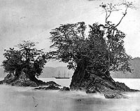 Photo # NH 64694:  USS Nipsic in Limon Bay, Panama, 1870