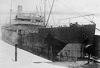 Photo # NH 65044:  USS Tanamo in port, circa winter 1918-1919