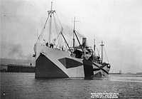 Photo #  NH 100565:  S.S. Point Bonita, later USS Point Bonita (ID # 3496), on 22 June 1918