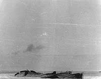 Photo # NH 95576:  USS Yorktown capsized and sinking, 7 June 1942