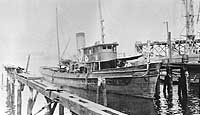Photo #  NH 100571:  Tug Adelante, photographed circa 1914-17
