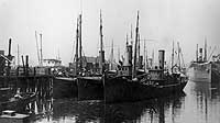 Photo #  NH 102236:  Trawlers Foam, Ripple and Spray tied up, probably prior to their World War I Navy service