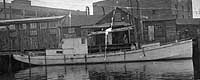 Photo #  NH 102833:  Fishing boat Congress in port, circa 1918