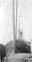 Photo #  NH 105219:  S.S. Lake Ypsilanti circa July 1919