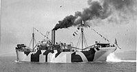 Photo #  NH 105269:  USS Major Wheeler circa October 1918.