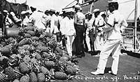 Photo # NH 106099:  Pineapples piled on a battleship's deck, during the Great White Fleet's visit to Honolulu in July 1908