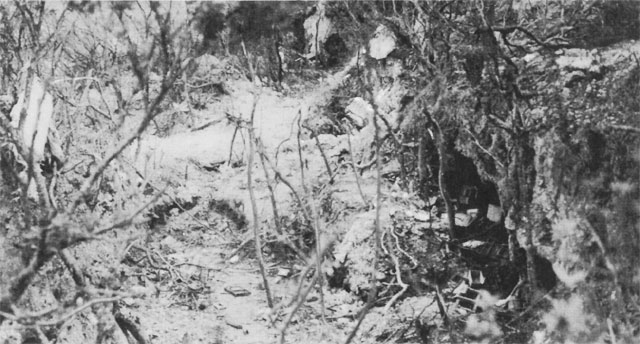HyperWar: US Army in WWII: Okinawa: The Last Battle [Chapter 15]