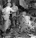 AN 81-MM. MORTAR M1 set up in a position in the jungle during training