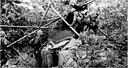 Infantrymen poised to enter a well-camouflaged enemy dugout