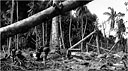 .30-CALIBER BROWNING WATER-COOLED MACHINE GUN M1917A1 set up amid rubble on Kwajalein
