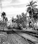 MAIN ROAD AT ARARE being used to transport supplies