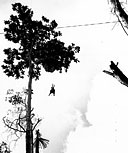 A PARATROOPER HANGING SUSPENDED FROM A TREE