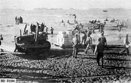 Figure 6.--Use of beach sled to transport bulk cargo to beach dump. (Marines on training maneuvers.)