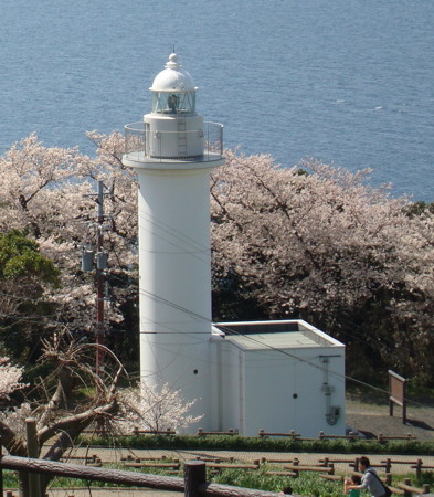 Echizen Misaki Light