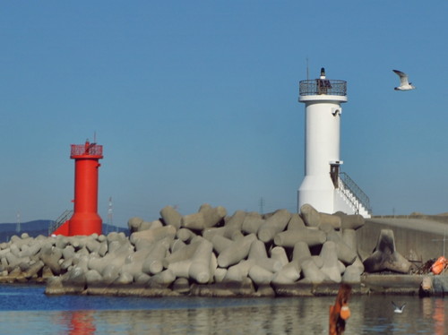 Dongbaek Hang Breakwater Lights