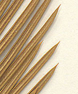 Leaflets strongly revolute, with spine-like tips (close-up image)