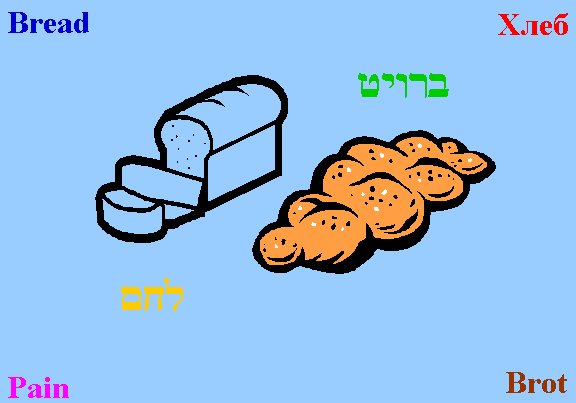 Bread